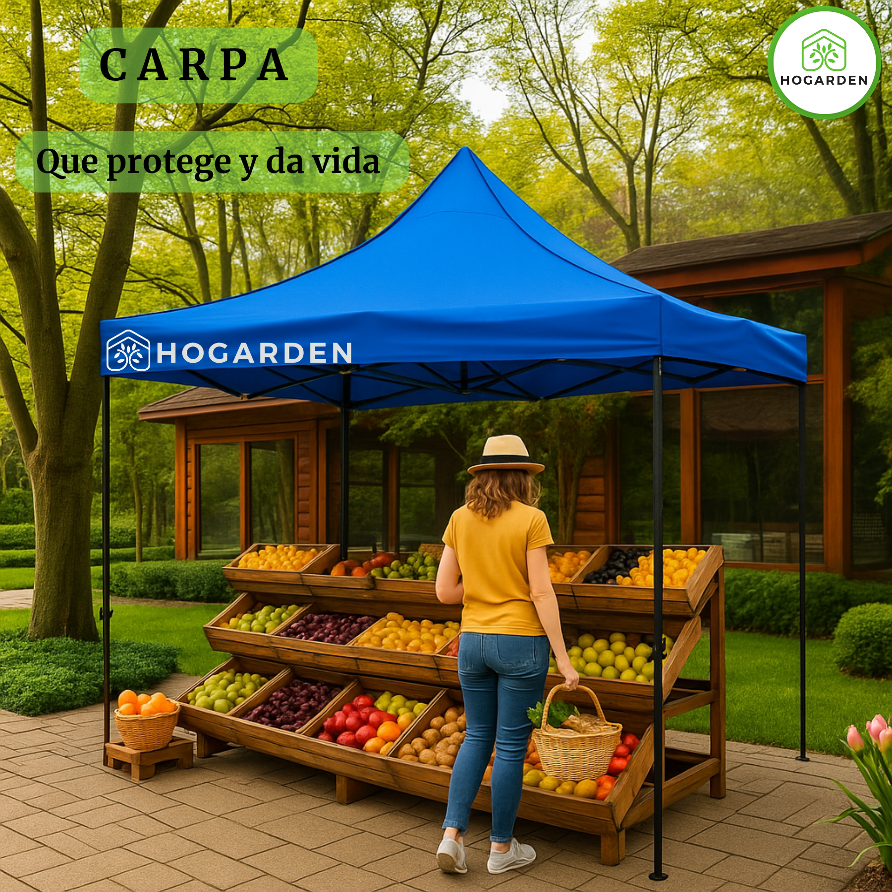 Carpa Plegable Azul 3x3 M