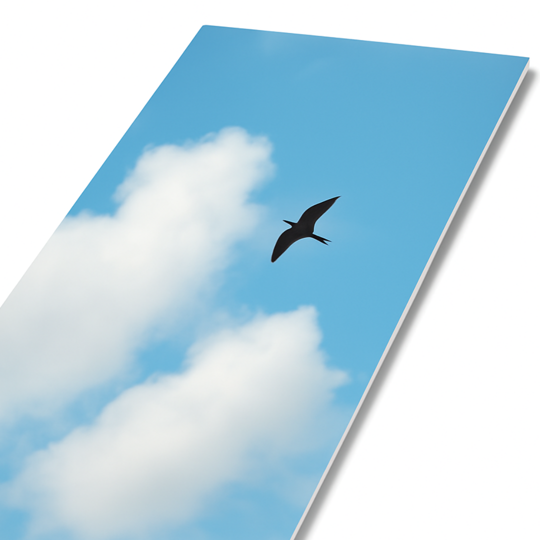 Panel Espejo BCC Plata 1.22x2.44 M Para Decoración