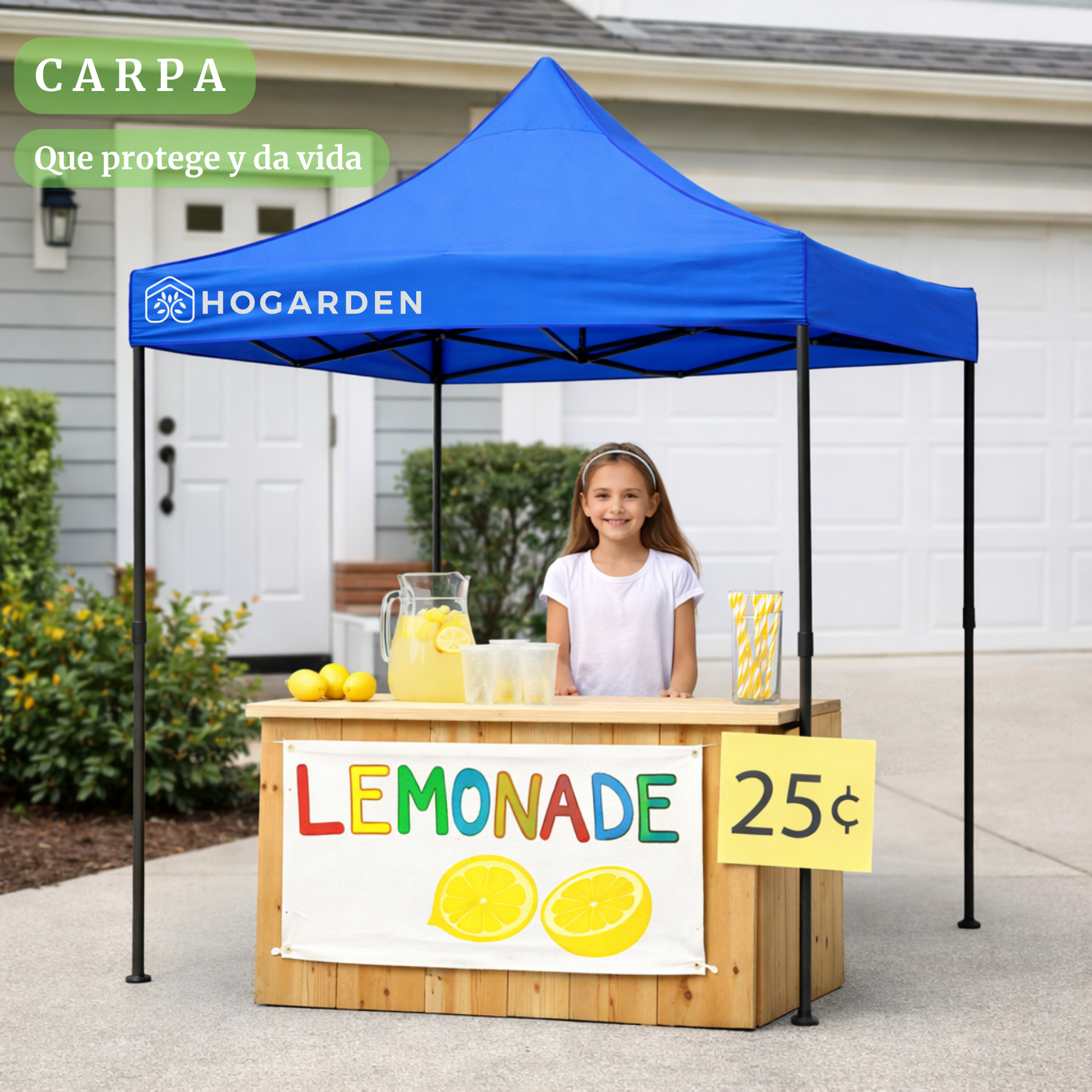 Carpa Plegable Azul 2x2 M