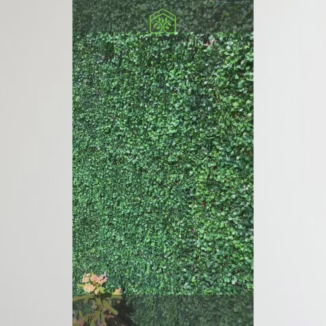 Follaje Verde Decorativo