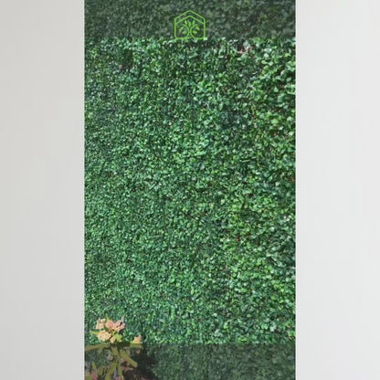 Follaje Verde Decorativo