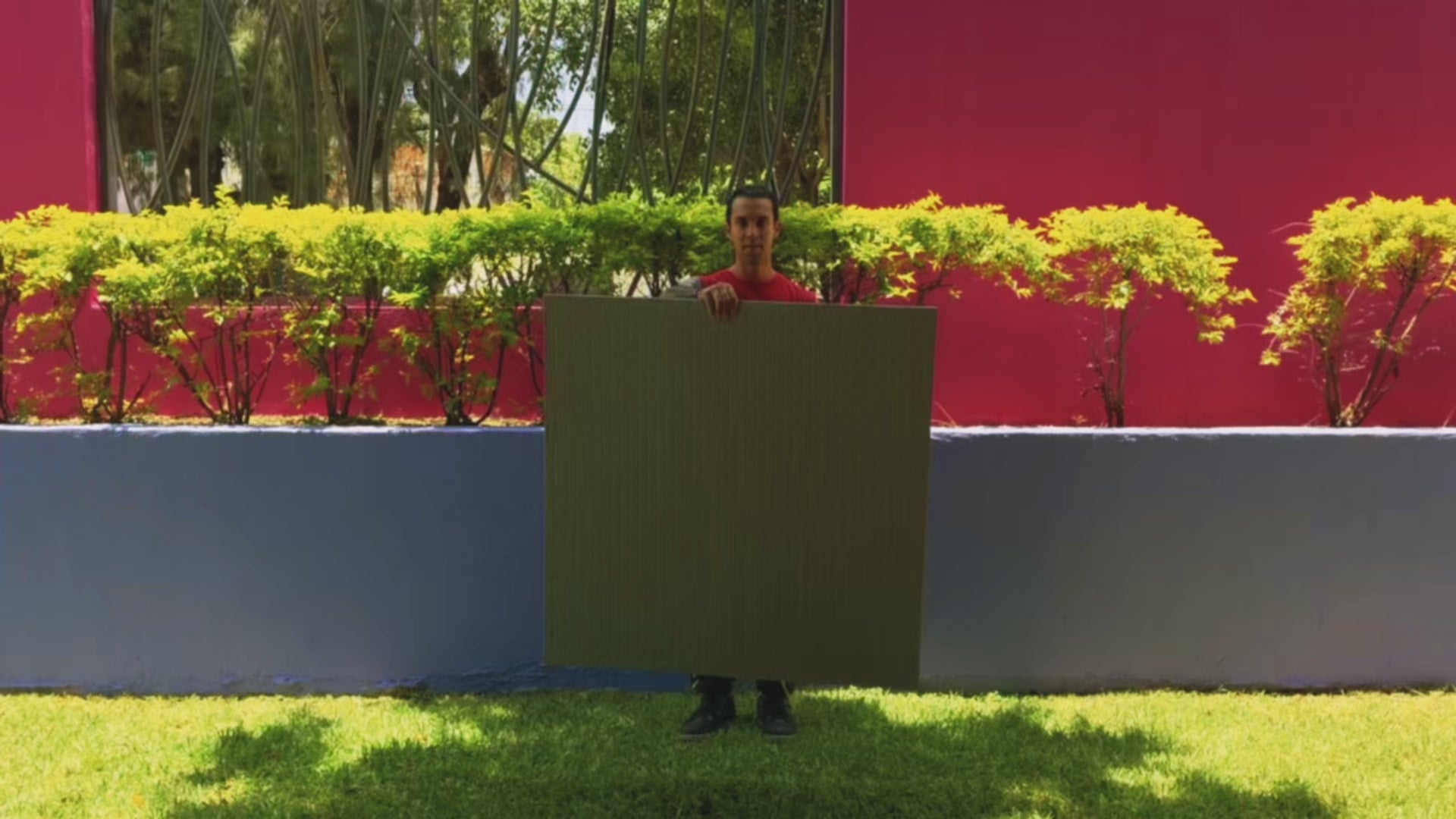 Cargar video: 